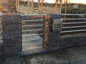 PHOTO-2022-08-29-14-58-42